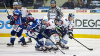 hokej brno 21